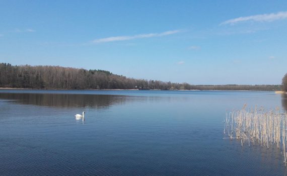 Arboretum w Kudypach – 5,2 km